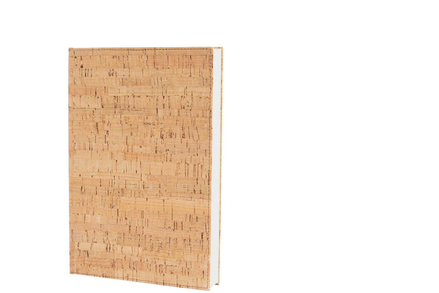 EUROSTYLE Notizbuch A5